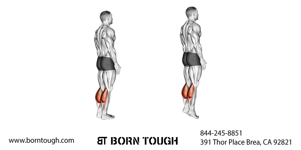 Standing Calf Raise