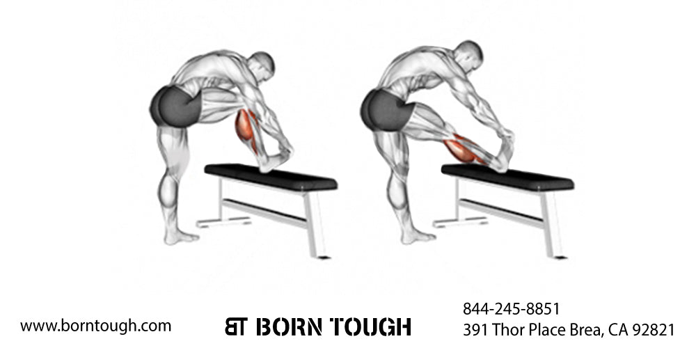 Strengthening the Gastroc  Soleus Muscles