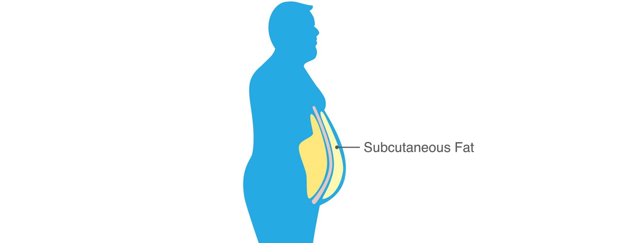 Subcutaneous fat